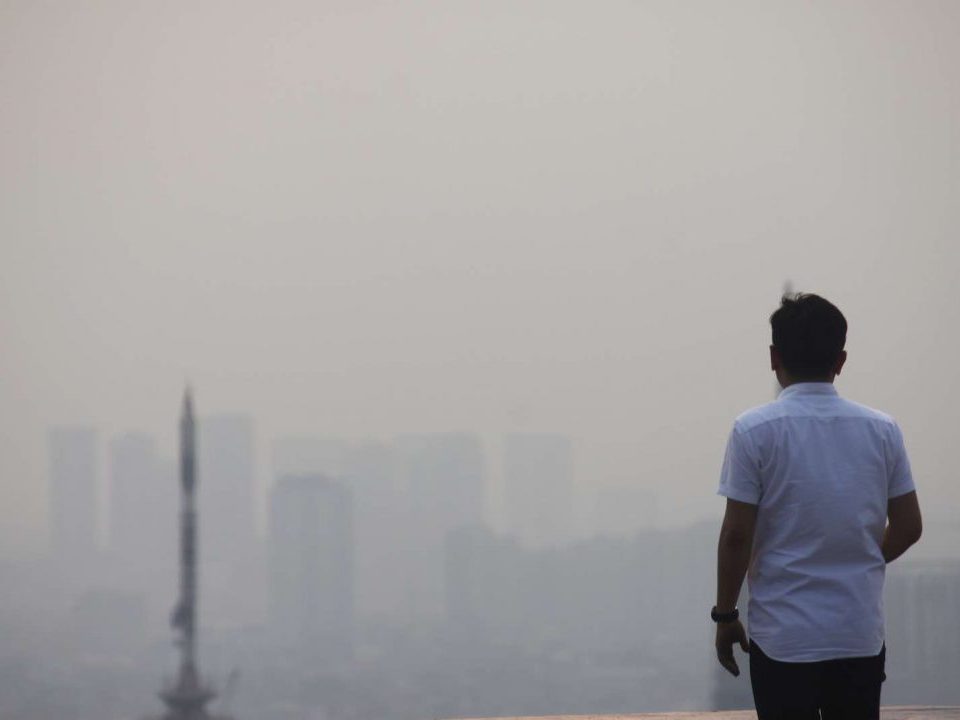 اثرات آلودگی هوا بر محیط زیست