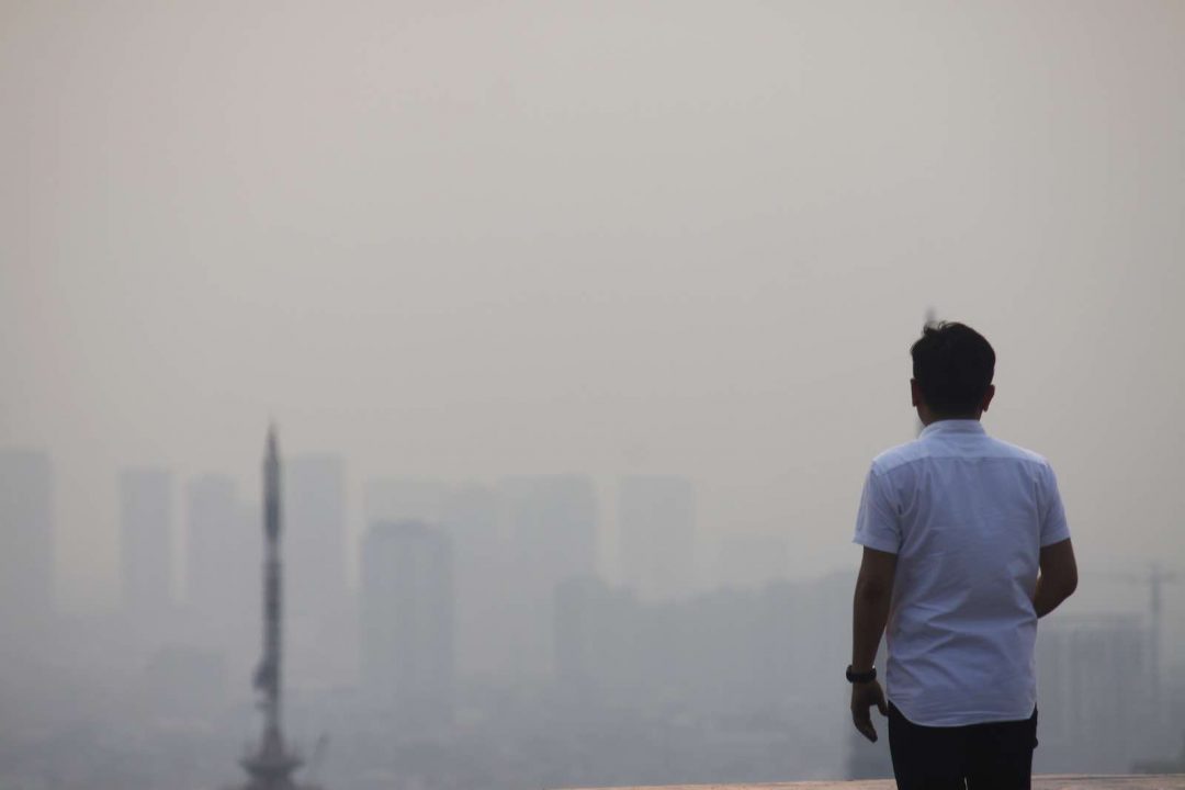 اثرات آلودگی هوا بر محیط زیست